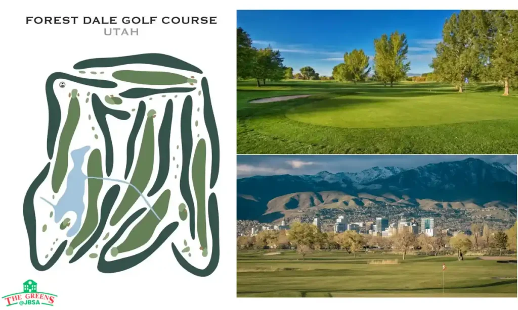 Forest Dale Golf Course Guide Fees, Tee Times, Memberships & More
